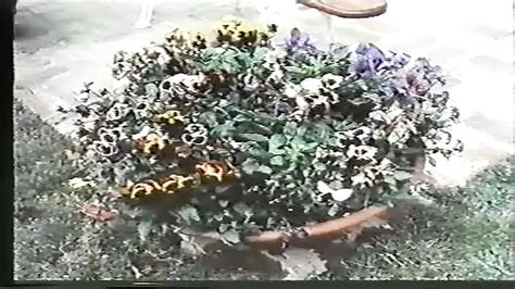 Moglie Molto Infedele Free Nude Vista Free Hd Porn Xhamster