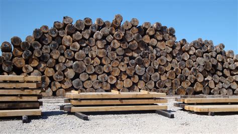 Air Dried Or Kiln Dried Oak