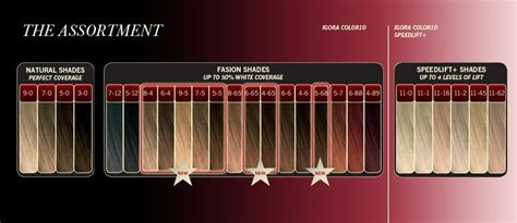 15 Igora Color Chart MartinAaryan