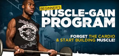 Beginner's Muscle-Gain Program: Stop Worrying & Start Training!