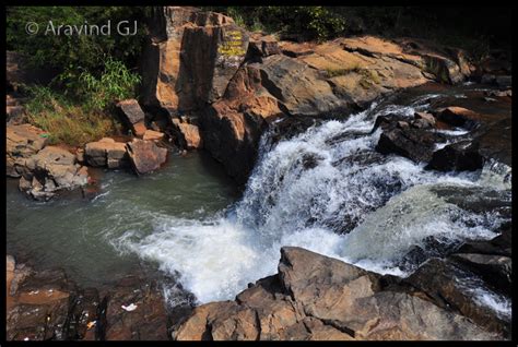 Treks and travels: Kolli hills