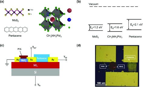 A Molecular Structure Of Mos 2 Pentacene And Pvk B The Energy Download Scientific