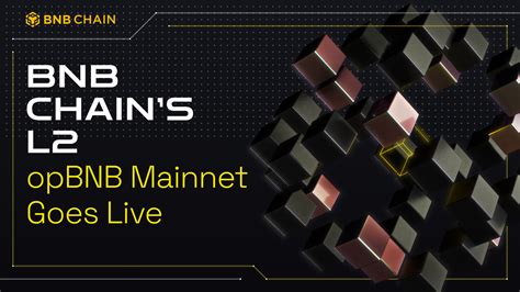 Bnb Chain’s L2 Opbnb Mainnet Goes Live Binance Chain Bnb Smart Chain Bsc