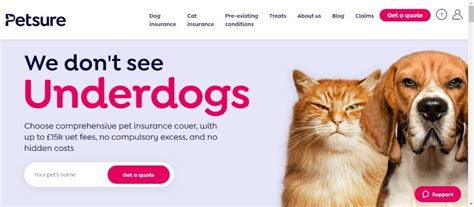 7 Best Dog Insurance In The Uk For 2023