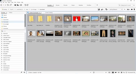 Adobe Bridge Detailed Guide For Beginners