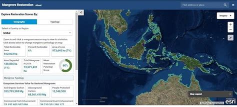 Peta Mangrove Nasional