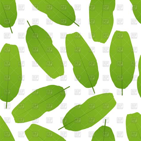 Banana Leaf Pattern Vector At Vectorified Collection Of Banana