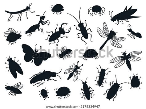 Big Set Cartoon Beetles Vector Silhouettes 库存矢量图免版税2175334947