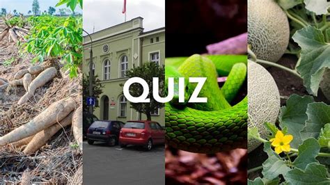 Quiz Trudny quiz wiedzy na literę M z którym nie masz najmniejszych