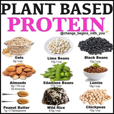 Elaine Kalache on Instagram: “What are your favourite plant 🌱 based protein? Protein Sourc ...