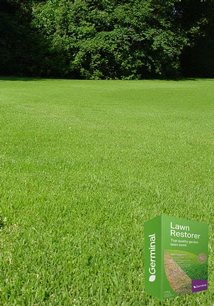 Lawn Restore Grass Seed & Fertiliser | Germinal Amenity