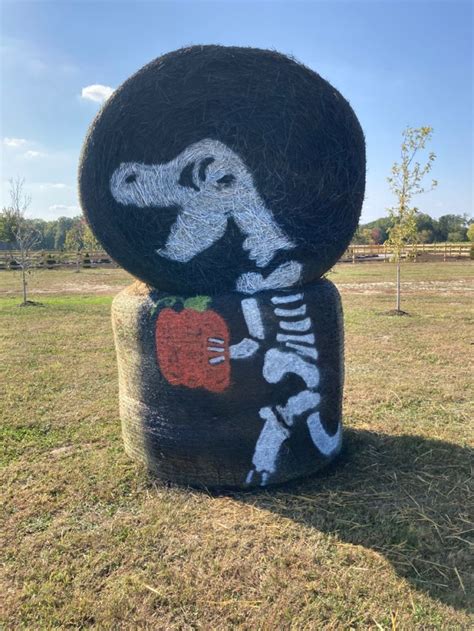 Skeleton Dinosaur Painted Hay Bale Hay Bale Painting Hay Bale