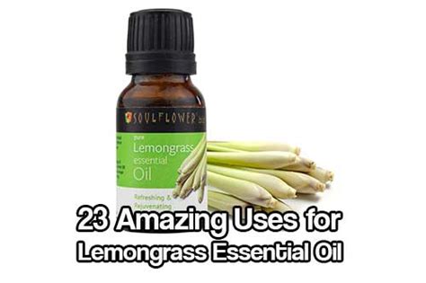 23 Amazing Uses for Lemongrass Essential Oil - SHTF Prepping ...