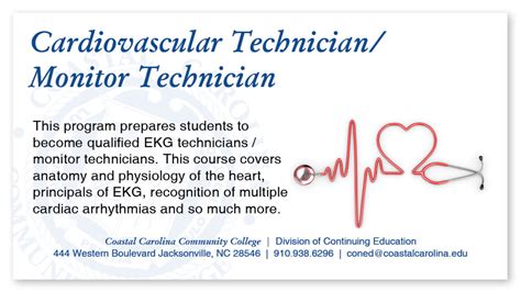 Beating The Odds: A Step-By-Step Guide To Becoming A Cardiovascular Technologist