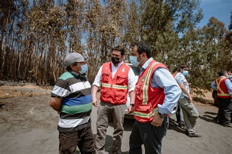 Decretan Estado de Emergencia Agrícola en Quillón por incendios forestales