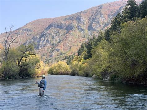 Fall Colors In Salt Lake City Empty Nesters Adventures