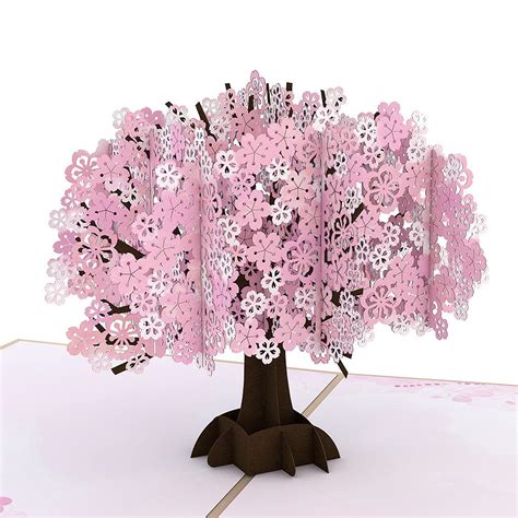 Buy Lovepop Cherry Blossom Pop Up Card, 5x7-3D Greeting Card, Card for ...