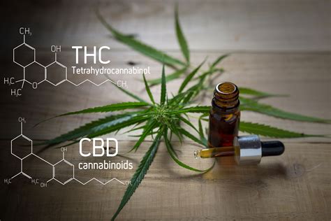 Finding The Right Thc Cbd Ratios Jenny S Dispensary