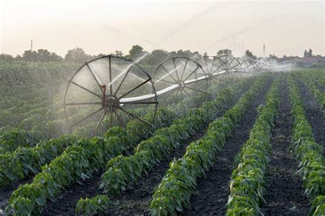 Irrigation System Watering Crops on Farm Field Stock Photo - Image of ...