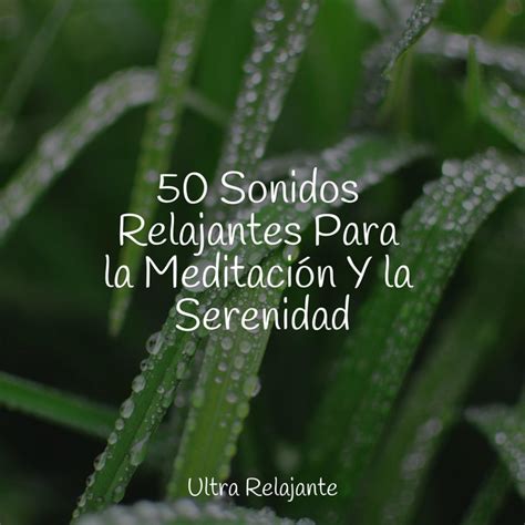 50 Sonidos Relajantes Para la Meditación Y la Serenidad Album by