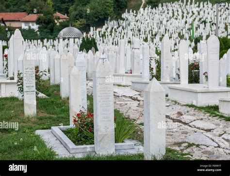 The Martyr S Memorial Cemetery At Kovaci District Main Cemetery Of