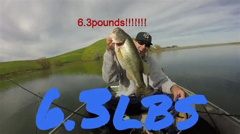 Lb Bass Contra Loma Youtube