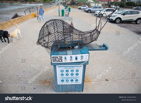 No Dogs On Boardwalk Sign 16 รายการ ภาพ ภาพสต็อกและเวกเตอร์ Shutterstock