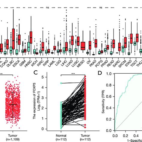 Foxp Expression In Brca And Other Types Of Human Cancer From Tcga