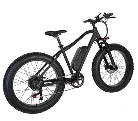 20" Fat Tire off Road Electric Dirt Bike Fat Tire E Bike Motorbike ...