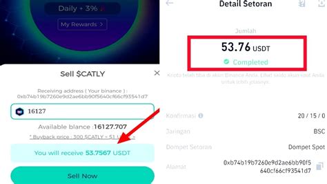 Apakah Catly Scam Pasti Nya Masih Aman Lancar Penarikan Usdt Nya