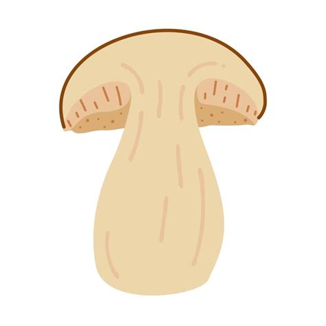 Premium Vector Boletus Edulis Forest Mushroom Hand Drawn Porcini