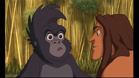 Tarzan Walt Disneys Tarzan Image 3604653 Fanpop