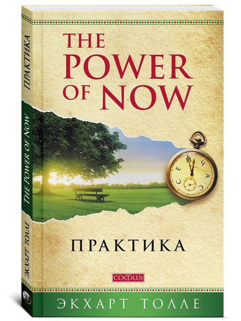 Книга "The Power of Now. Практика " Толле Экхарт – купить книгу ISBN ...