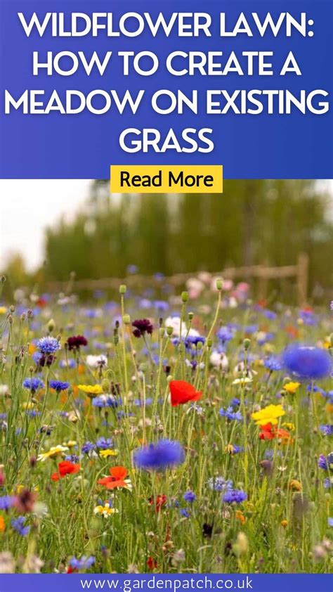 Wildflower Lawn How To Create A Meadow On Existing Grass