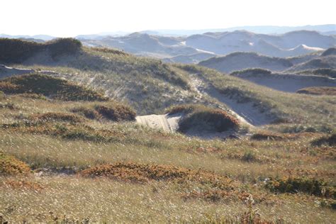 Dune Shacks of Cape Cod - The Platinum Pebble Boutique Inn