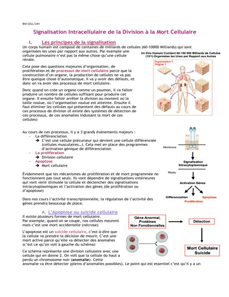 Cours 1