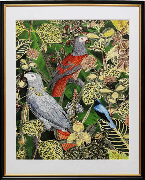 Quadro Incorniciato Birds In Jungle 80x100cm KARE