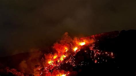 Incendio Tra Ischia E Casamicciola A Fuoco Area Boschiva La Repubblica