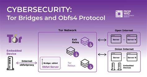 What Is Tor In Cyber Security Tor Bridges Obfs4