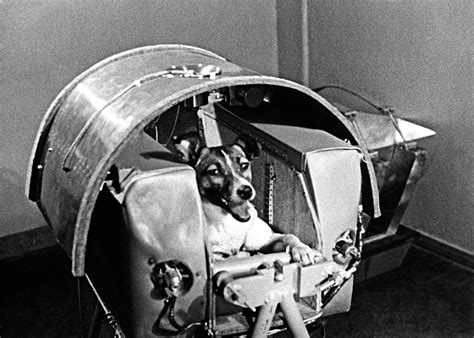 THE MOST TRAGIC DOG IN SPACE: The HORRIFYING True Story of Laika's One