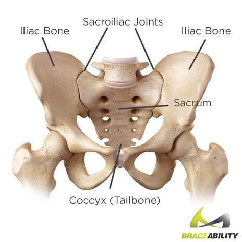 Best 25 Sacroiliac Joint Dysfunction Ideas On Pinterest Si Joint Si