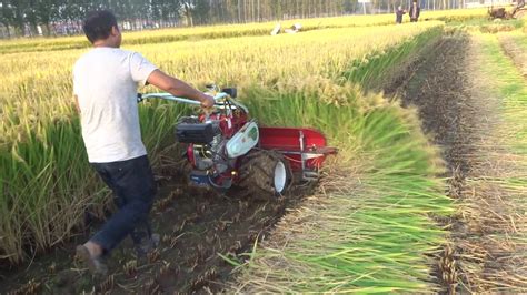 Napier Grass Cutter Philippines Rice Wheat Harvester Self Propel Reaper Youtube