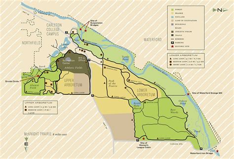 Field Guide Cowling Arboretum And Mcknight Prairie Voice Carleton