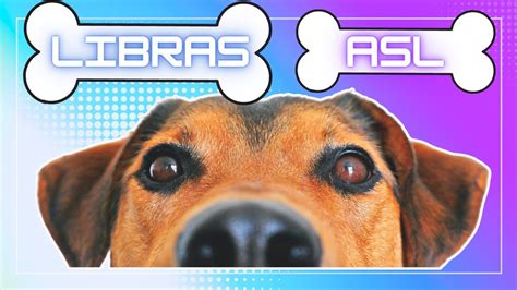 Sinal De Cachorro Em Libras E ASL Amigos De Quatro Patas YouTube