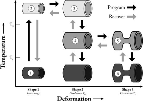 Figure 1 From Triple Shape Memory Polymers Based On Self Complementary Hydrogen Bonding