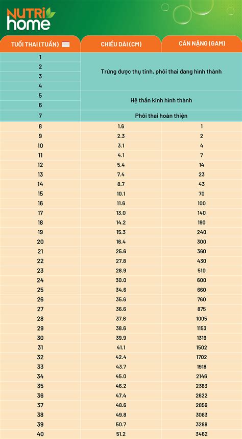 B Ng K Ch Th C Thai Nhi Theo Tu N Chu N Nh T M C N Bi T