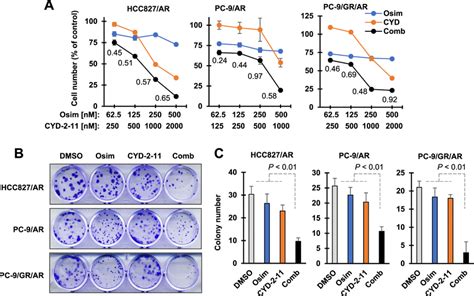 The Combination Of Osimertinib With A Bax Activator Synergistically