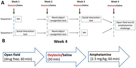 Behavioural Tests The Sequence Of Behavioural Testing Mice Were Dived Download Scientific