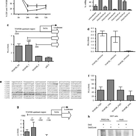 Upregulated Genes After Silencing Of PAX3 And PAX3 FKHR In RMS Cells