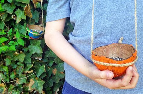 Painted Coconut Shell Bird Feeder Bird Feeder Craft Diy And Crafts